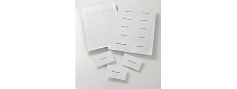 GENERIC/UNSPECIFIED MANUFACTURER PERFORATED BADGE INSERTS FOR LASER PRINTERS (250 PACK)