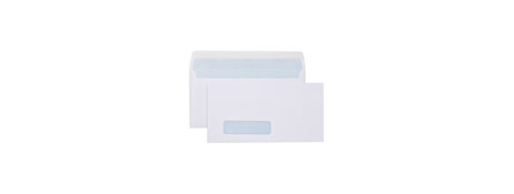 GENERIC STATIONERY DLX WINDOWED CONFIDENTIAL ENVELOPES - WHITE, STRIP SEAL