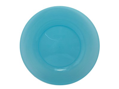 GENERIC OUTDOOR WARE DURABLE 254MM TRIPLE WALL DINNER PLATE FOR OUTDOOR DINING