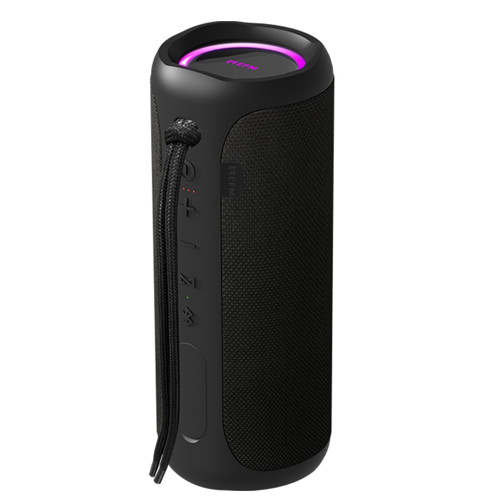 EFM AUSTIN PRO 40W BLUETOOTH SPEAKER WITH SUBWOOFER