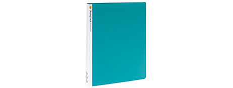 MARBIG GREEN NON-REFILLABLE DISPLAY BOOK - 20 POCKETS