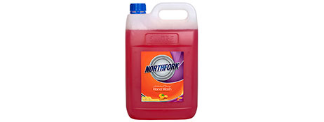 NORTHFORK CHEMICALS NORTHFORK ORANGE ANTI-BACTERIAL HAND WASH 5L FOR HYGIENE