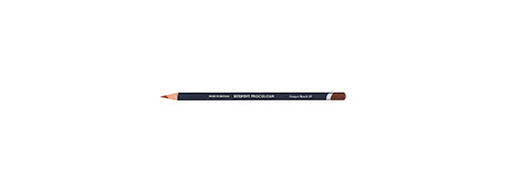 PROCOLOUR COPPER BEECH PENCIL - SMOOTH, RICH COLOURING